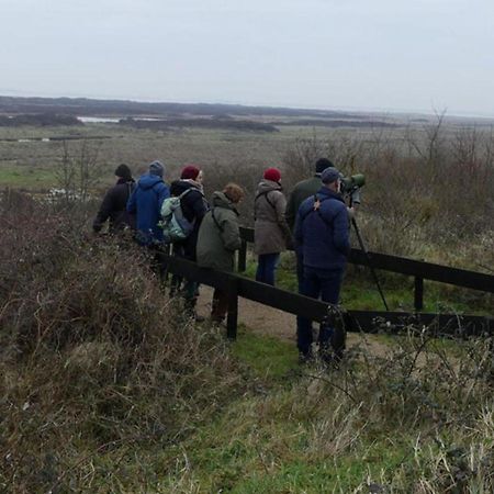 Thuis op Flakkee Ooltgensplaat Buitenkant foto