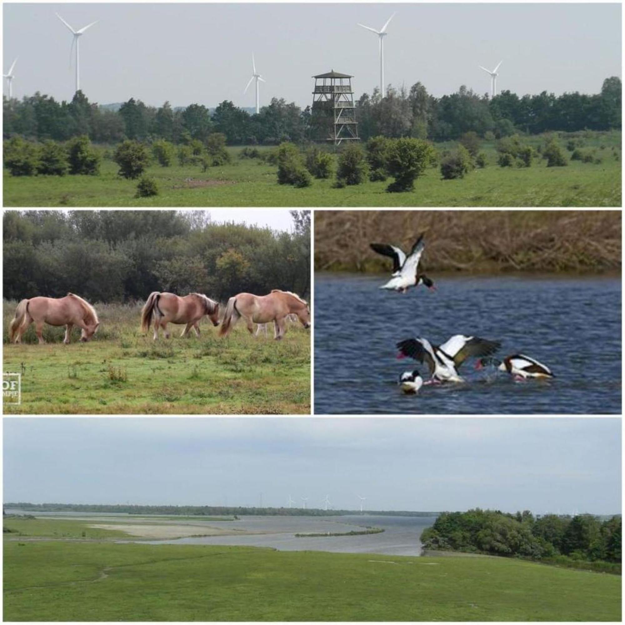 Thuis op Flakkee Ooltgensplaat Buitenkant foto